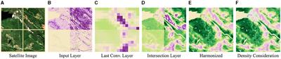 Recognizing protected and anthropogenic patterns in landscapes using interpretable machine learning and satellite imagery